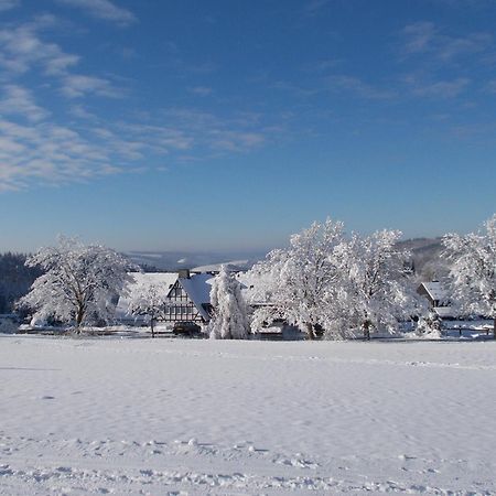 Berghotel Lenneplätze Winterberg Exterior foto