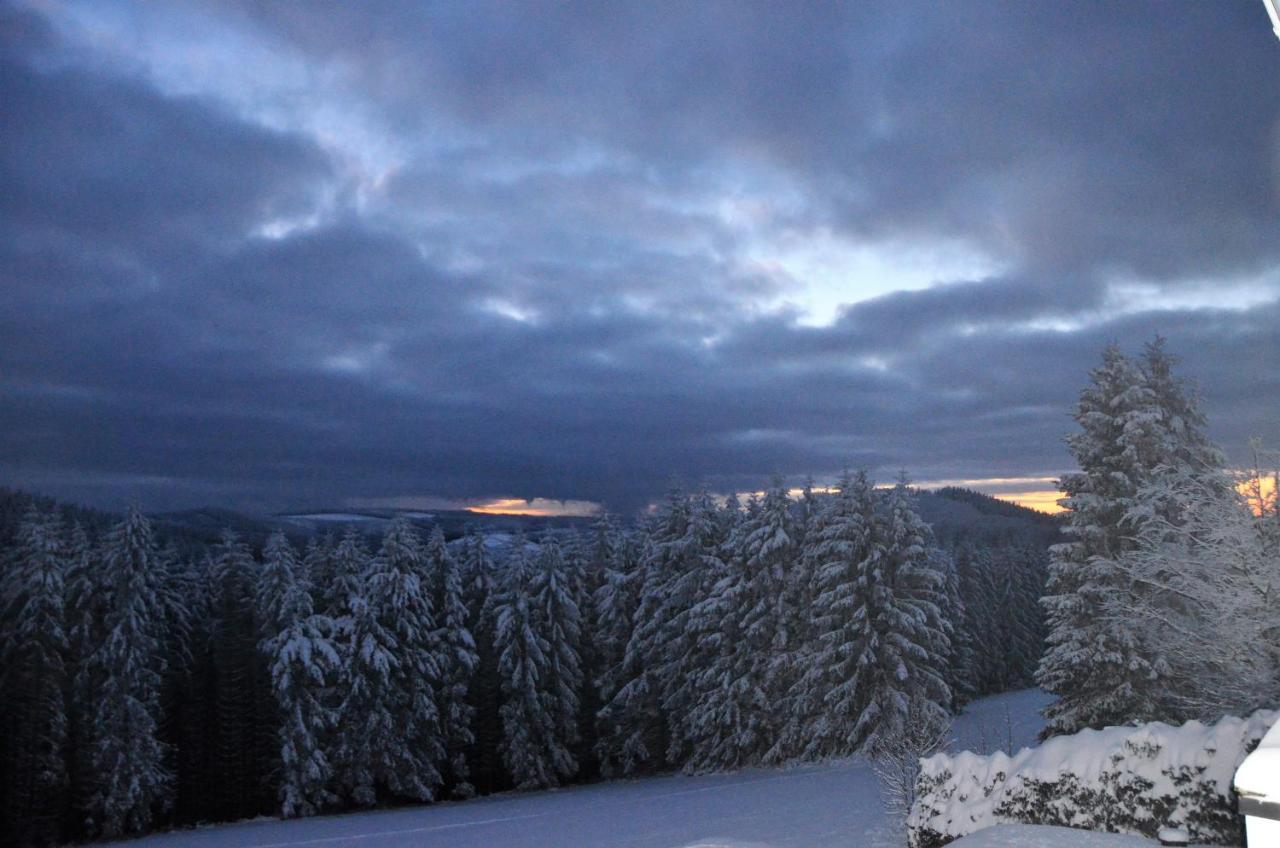 Berghotel Lenneplätze Winterberg Exterior foto