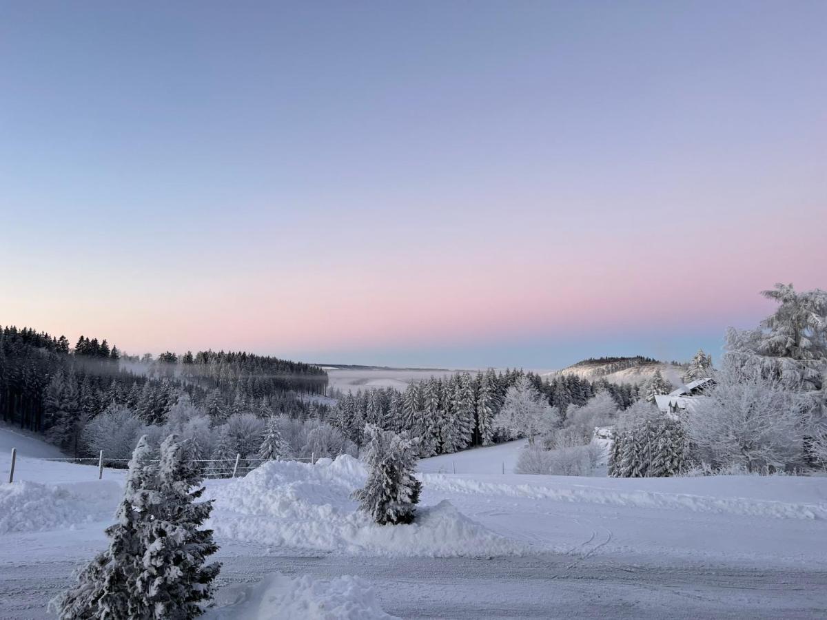 Berghotel Lenneplätze Winterberg Exterior foto